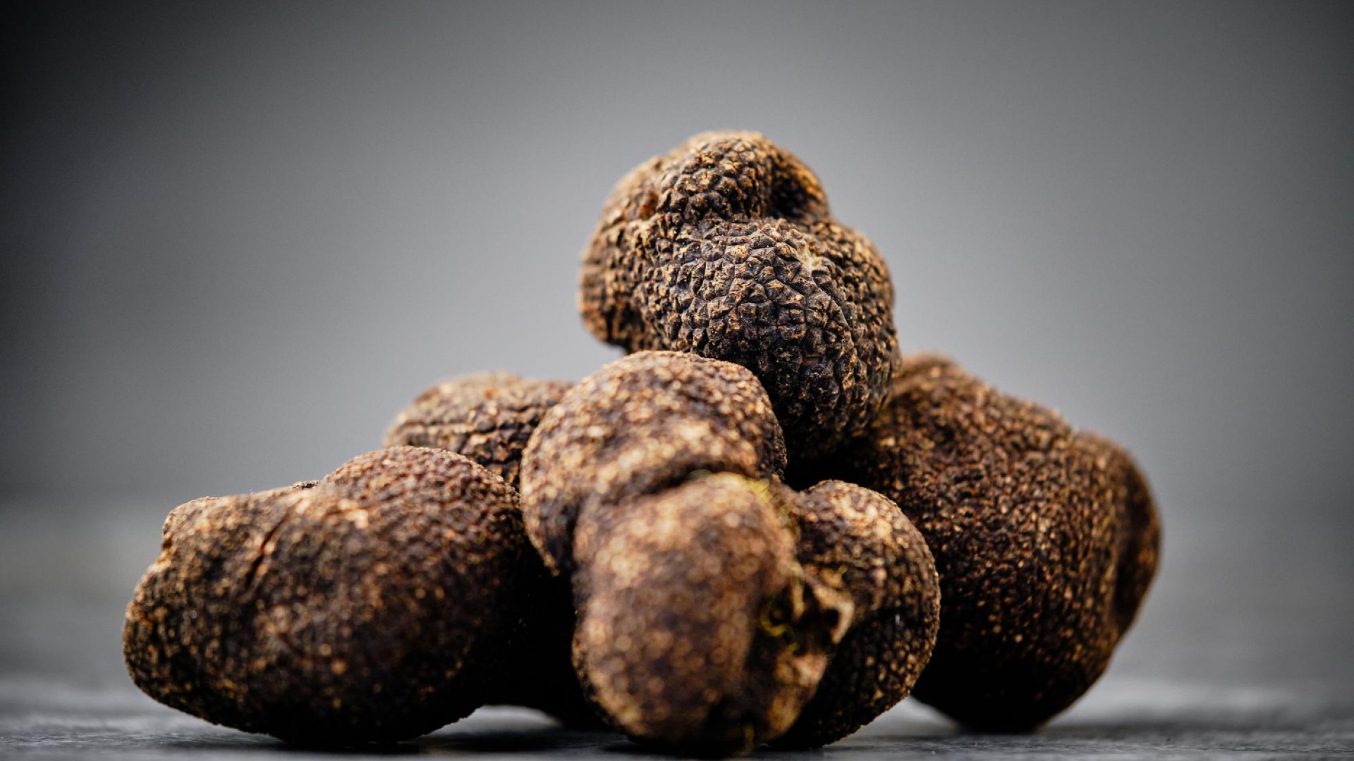 Truffe fraîche : les meilleures façons de la déguster et de l'apprécier